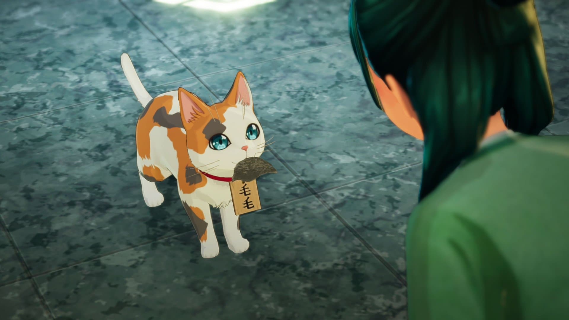 O gato Maomao leva uma pista na boca.