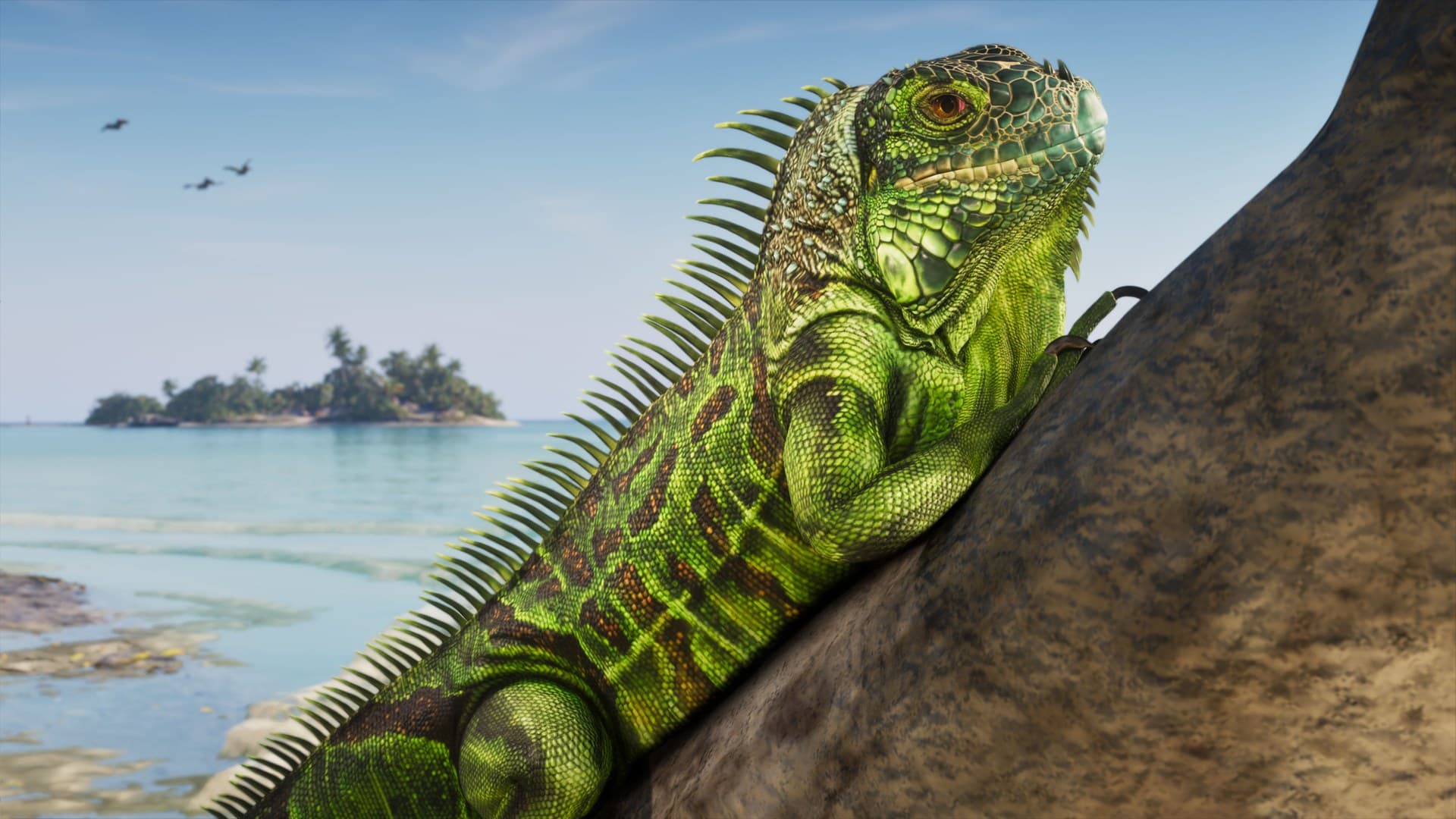 Uma iguana nas pedras de Leonida Keys, com uma ilha ao fundo.